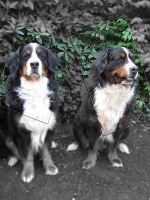 Lance und Bastian